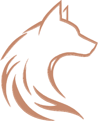 Be Bold Coaching